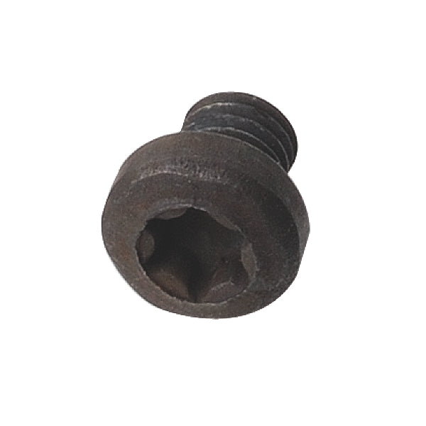 T9 Torx Screw M4X3X3 D=6