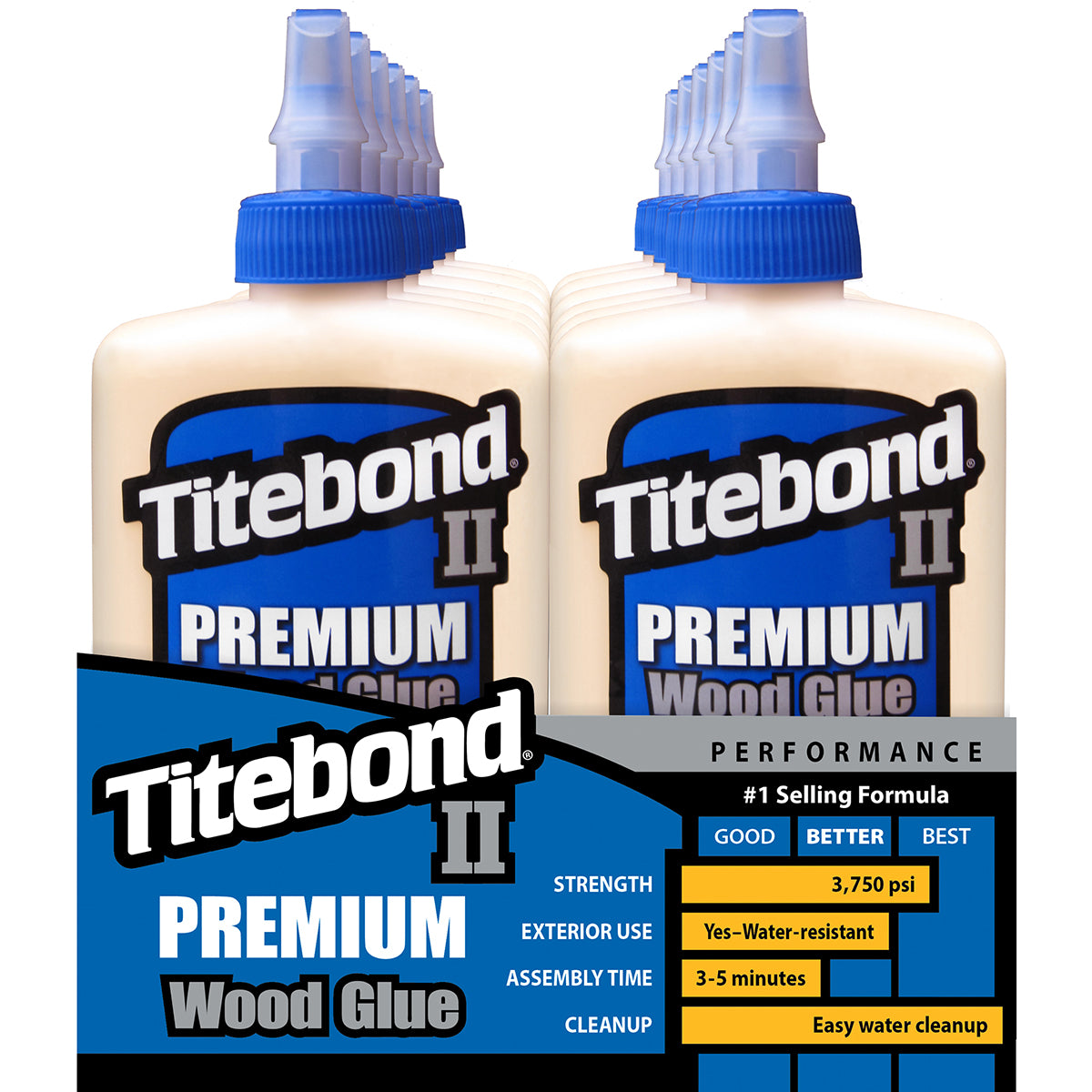 Titebond II Premium Wood Glue