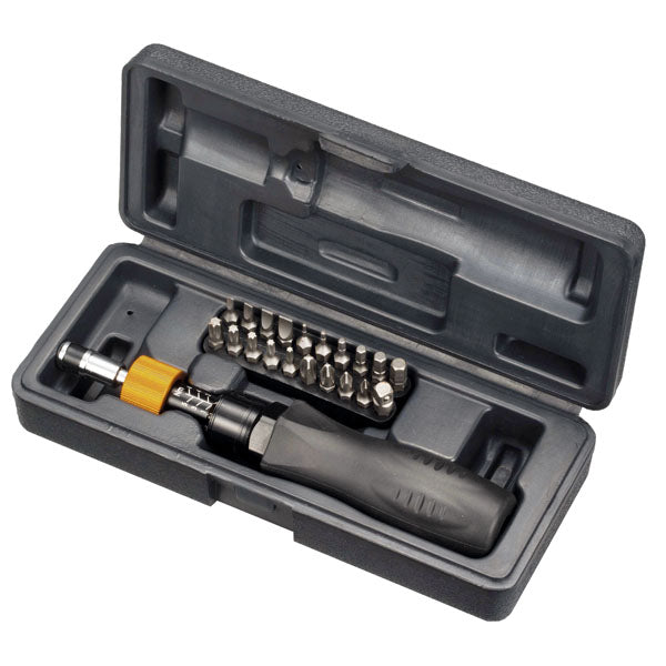 20 Pcs TORQUE SCREWDRIVER SET Hex=1/4'' Nm=1-6