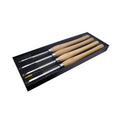 Set of Large Scrapers with Changeable Tips